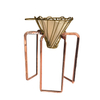Soporte de papel de filtro de café de cookMate 304 Acero inoxidable Pedcolator Marco Rack Stain Drip Drip Line